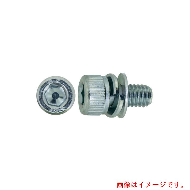 サンコーインダストリー（SUNCO）　10．9CAP　P＝4　岡井鉄工所製　6　X　12　（40本入）　【品番：A0-..