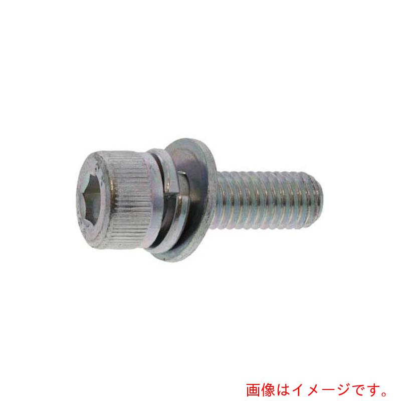 サンコーインダストリー（SUNCO）　ユニクロ　10．9CAP　I＝3　岡井鉄工所製　8×16　（20本入）　【品..