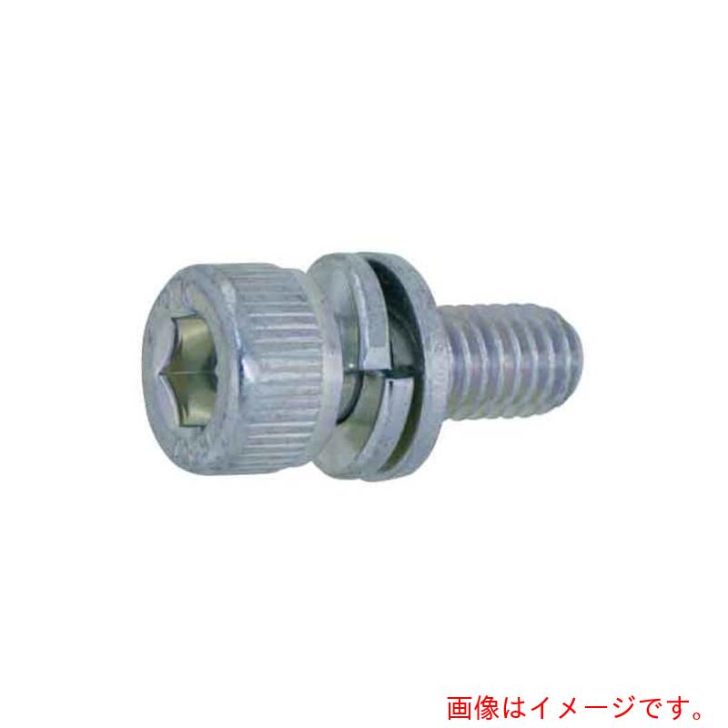 サンコーインダストリー（SUNCO）　三価ホワイト　10．9CAP　I＝4　岡井鉄工所製　6×35　（100本入）　..