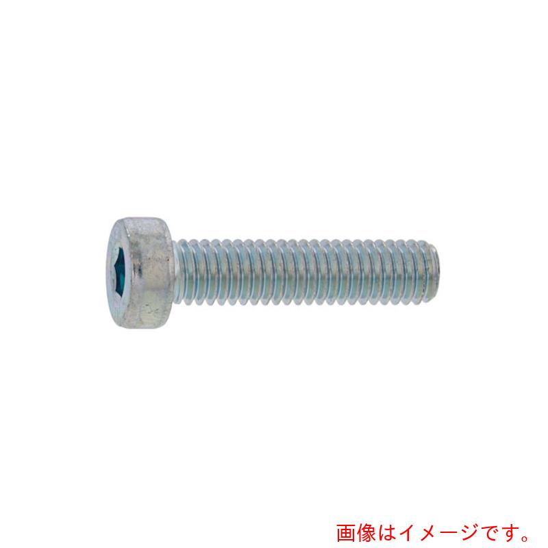 サンコーインダストリー（SUNCO）　三価ホワイト　ローヘッドCAP　4×30　（400本入...