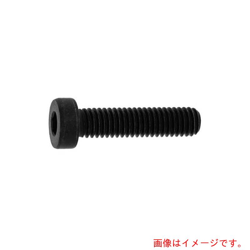 サンコーインダストリー（SUNCO）　三価ホワイト　ローヘッドCAP　互省製　4×6　（40本入）　【品番：A0-00-L00G-0040-0060-03-40】