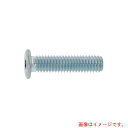 サンコーインダストリー(SUNCO) 三価ブラック 極薄・NSローヘッド 6×8 (10本入) 【品番:A0-00-L300-0060-0080-04-10】(4)