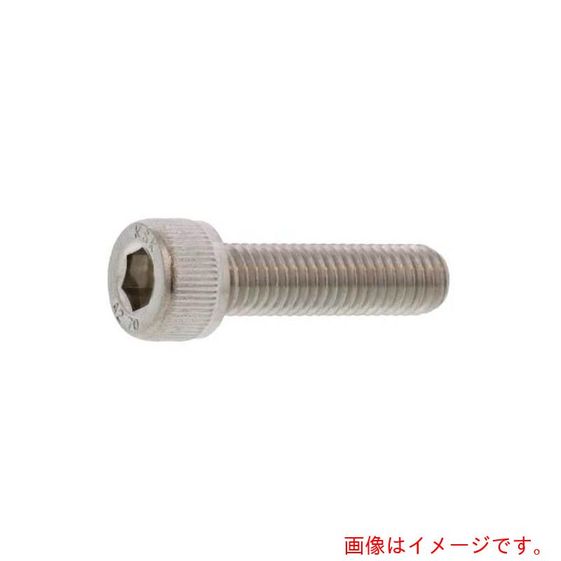 サンコーインダストリー（SUNCO）　ステンCAP　岸和田ステンレス　12×20　（50本入）　【品番：A0-02-0..
