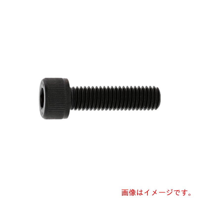 サンコーインダストリー（SUNCO）　ステンCAP（左ねじ　16×25　（50本入）　【品番：A0-02-0020-0160-0..