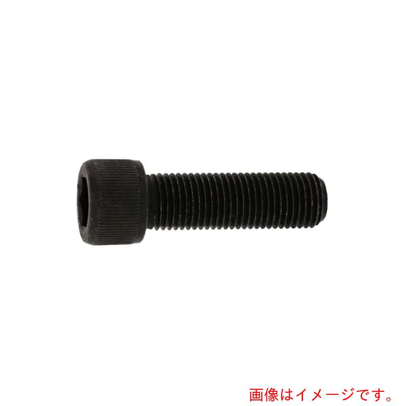 󥳡ȥ꡼SUNCOˡƥCAPUNF103238100ˡ֡A0-02-0040-7100-8030-00