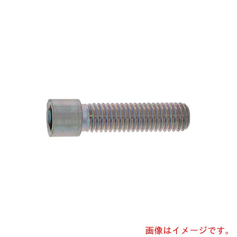 サンコーインダストリー（SUNCO）　ステンレス　小頭CAP　12×30　（2本入）　【品番：A0-02-0050-0120-..