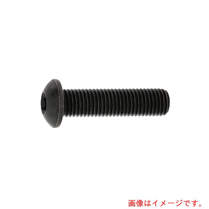 サンコーインダストリー（SUNCO）　SUS　ボタンCAP　（UNF　1／4×5／16　（2本入）　【品番：A0-02-104..