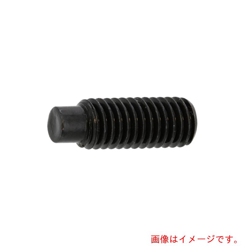 サンコーインダストリー（SUNCO）　ステンHS（棒先　6×14　（1000本入）　【品番：A0-02-5030-0060-0140-00】