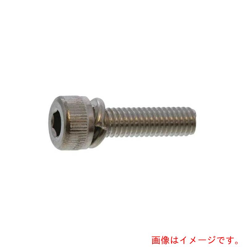 サンコーインダストリー（SUNCO）　ステンCAP　P＝2　2．6×6　（1000本入）　【品番：A0-02-9020-0026-0060-00】