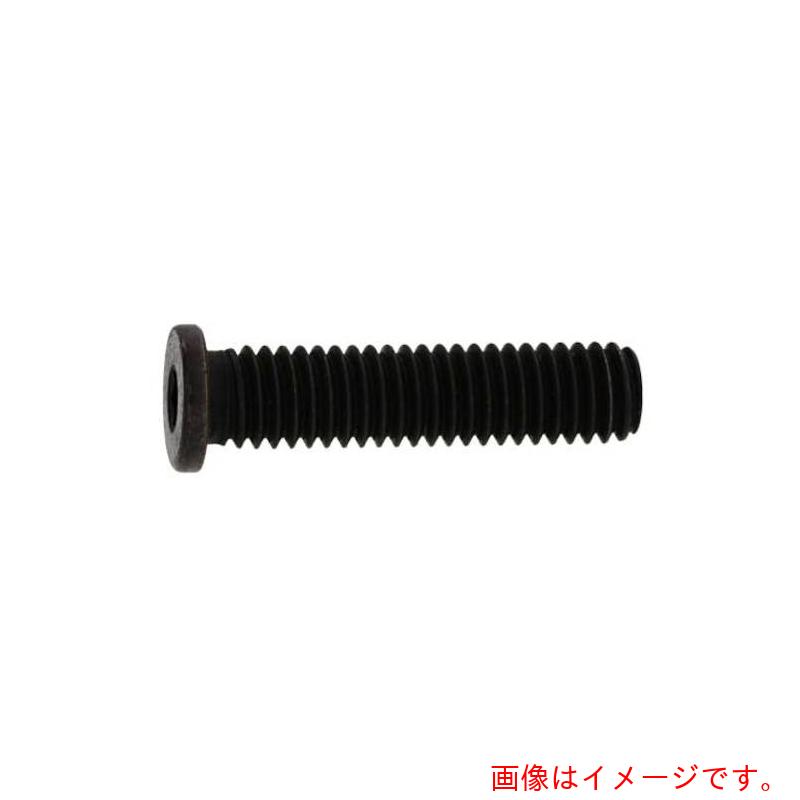 サンコーインダストリー（SUNCO）　ステンレス　小頭NSローヘッド　10×25　（100本入）　【品番：A0-02..