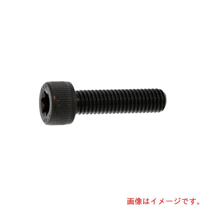 サンコーインダストリー（SUNCO）　ステンTORX−CAP　3×12　（30本入）　【品番：A0-02-T000-0030-0120-..
