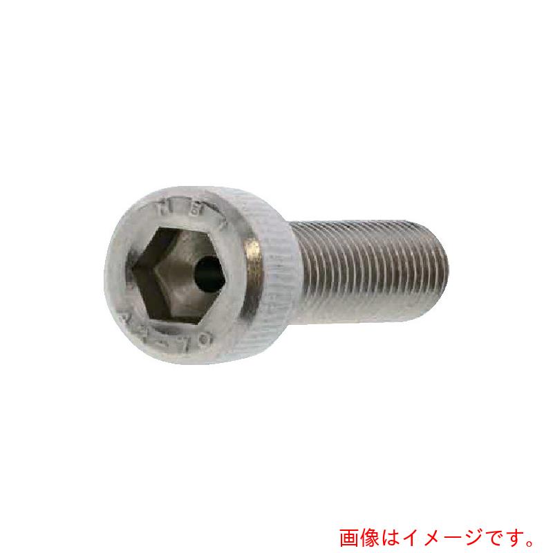 サンコーインダストリー（SUNCO）　1．5パイ　316Lエアー抜きCAP　（全ネジ）　5×10　（2本入）　【品番：A0-12-J000-0050-0100-00-2】