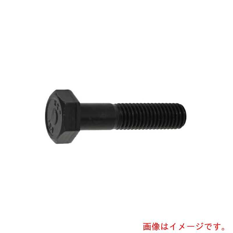 サンコーインダストリー（SUNCO）　ダクロ　12．9　六角ボルト　12X100　（40本入）　【品番：B0-00-02..