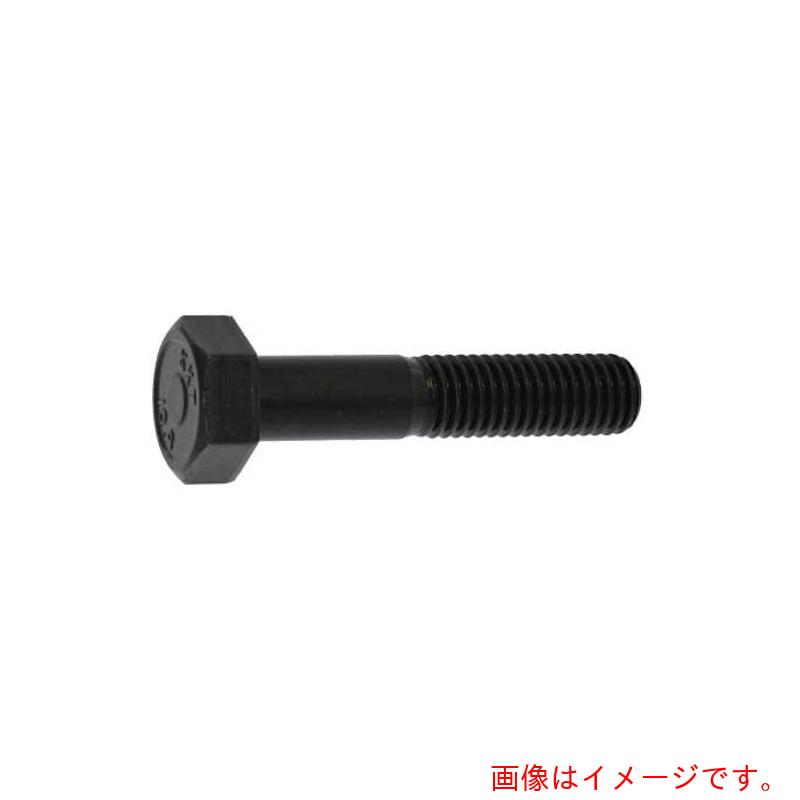 サンコーインダストリー（SUNCO）　　10．9　六角ボルト　　12X30　（10本入）　【品番：B0-00-0400-0120-0300-00-10P】