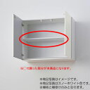 LIXIL(サンウェーブ) 棚板セット(キッチン本体-ウォールキャビネット用) 間口25cm用 アイボリー 【品番:TTS-218X290】●