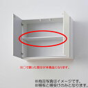 LIXIL(サンウェーブ) 棚板セット(キッチン本体-ウォールキャビネット用) 間口25cm用 スノーホワイト 【品番:TTS-218X290FW】●