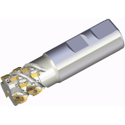 NTKåƥ󥰥ġ륺TAEGUTECߡ󥰥åߥå塡֡3P TEF D25-24-W25-06