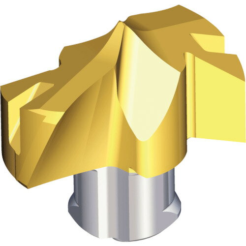 NTKカッティングツールズ　TAEGUTEC　刃先交換式ドリル用ヘッド　ドリルラッシュ　【品番：TCD-144-PPLUS TT9080】(4)