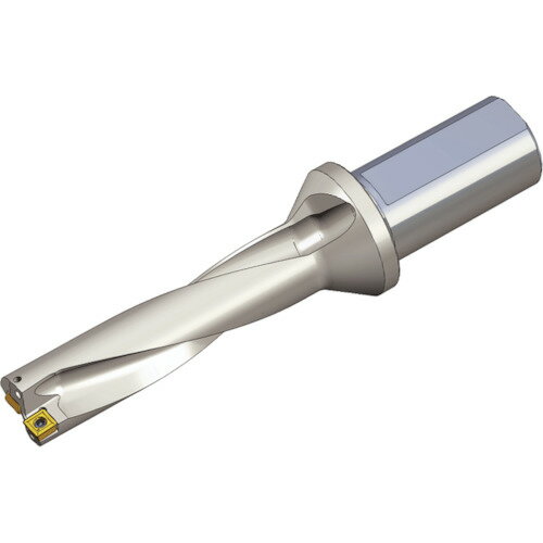 NTKカッティングツールズ TAEGUTEC 刃先交換式ドリルホルダー Tドリル 【品番：TDR 4500-40T2-14】