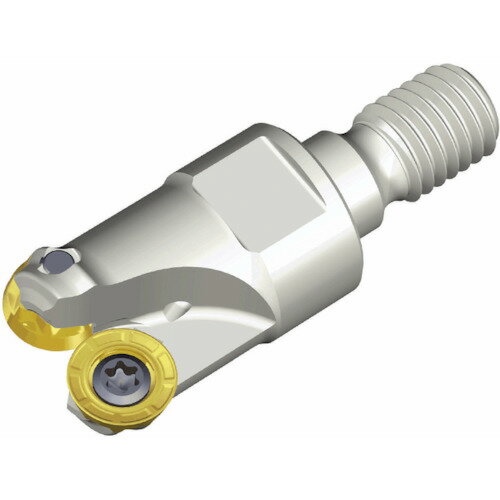 NTKカッティングツールズ　TAEGUTEC　チェイスモールド　【品番：TERX 325-M12-10】(4)