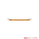 大洋製器工業(TAIYO) インカ リフティングスリング JIS 3E-150×17M 【品番:INK3E150X17】