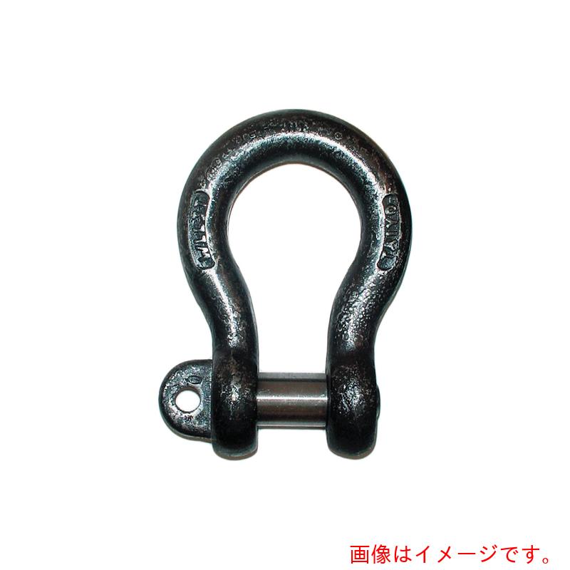大洋製器工業（TAIYO）　JISシャックル　M級　黒　BC−20（1010570）　【品番：JBC20】