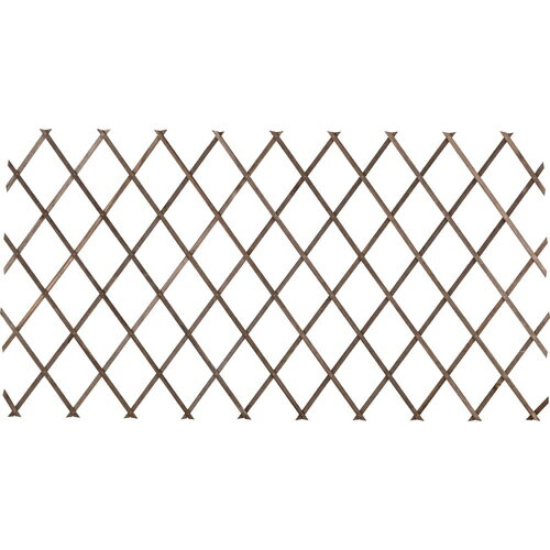 【別途送料あり】タカショー（Takasho）　園芸用品　伸縮トレリス　ブラウン　100×200cm　【販売単位：..