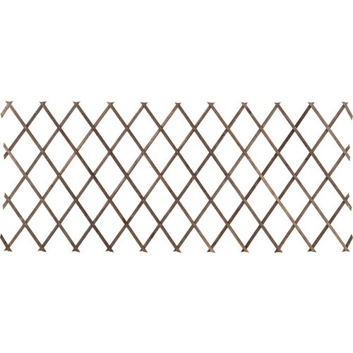 【別途送料あり】タカショー（Takasho）　園芸用品　伸縮トレリス　ブラウン　80×200cm　【販売単位：5..