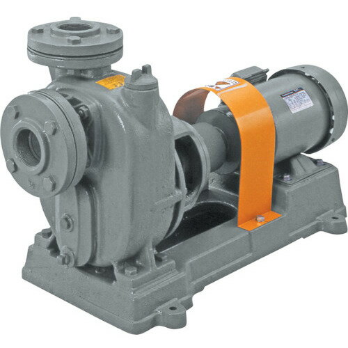 寺田ポンプ製作所（TERADA）　セルプラポンプ　鋳鉄製メカニカルシール式　屋外モートル付　モーター付　【品番：O-4ME 50HZ WM】