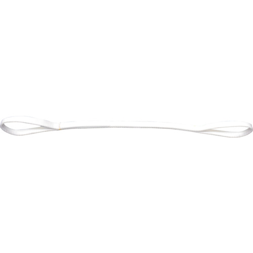 テザック（TESAC）　耐化学薬品用スリング（JIS2等級・両端アイ形）25mm幅×4．5m　【品番：PP2E25X4.5】