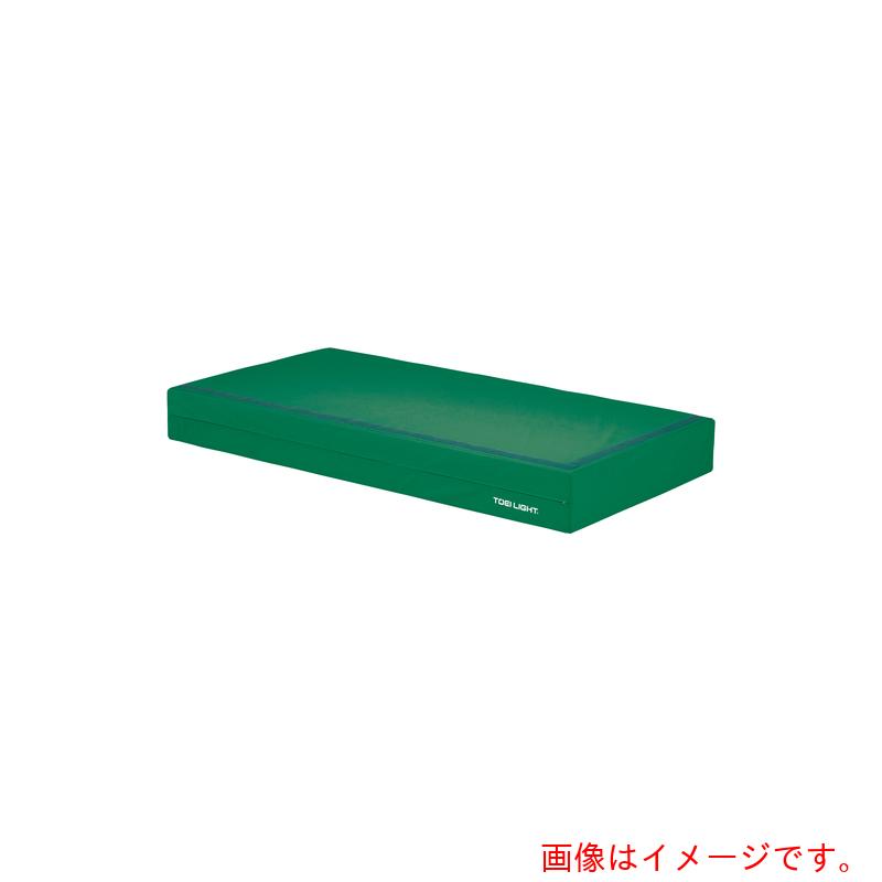 トーエイライト（TL）　屋内用カラーマット20　【品番：G1788G】