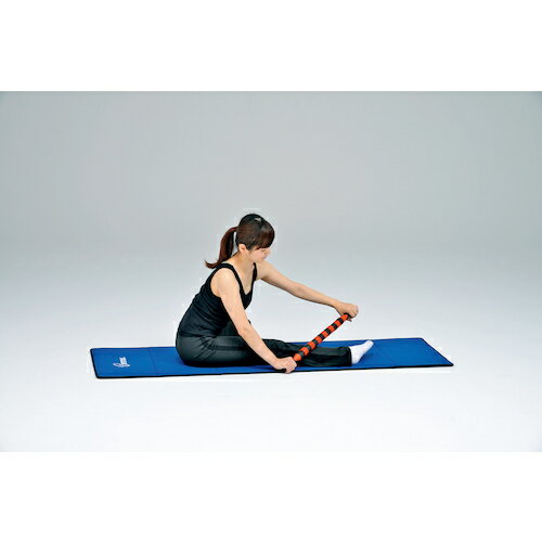 �ȡ������饤�ȡ�TL�ˡ��ޥå��������ƥ��å������顼�������֡�H7253��