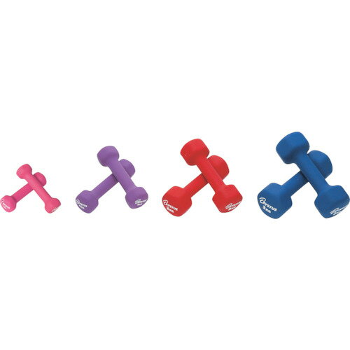 トーエイライト（TL）　ラバーコートダンベル3　【品番：H9065】