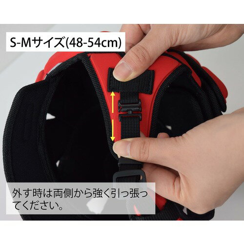 �ü������Ƭ���ݸ�˹��ABONET�ܥ����ƥ��֥�����S��M����48��54CM�ˡ���åɡ���2�ġۡ������֡�S3887-Q5��
