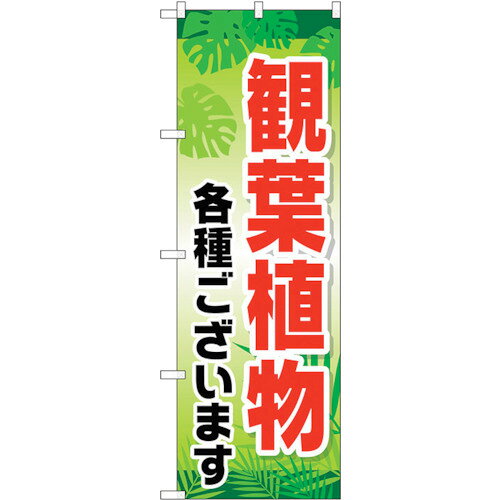 トレード　sign　city　のぼり旗　観葉植物各種ございま　No．GNB−2531　W600×H1800　【品番：63000131..