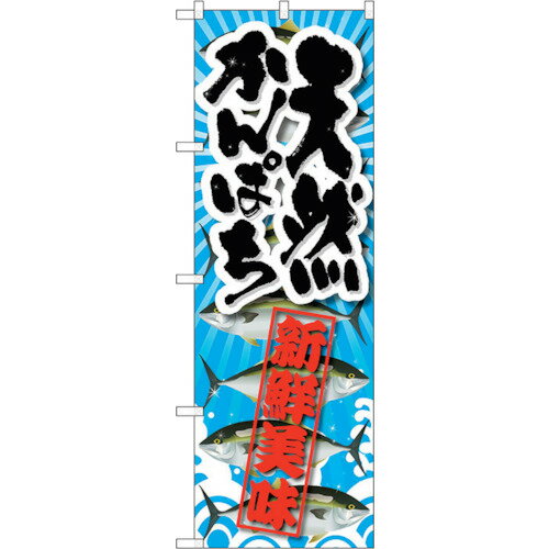 トレード　sign　city　のぼり旗　天然かんぱち新鮮美味　No．SNB−2360　W600×H1800　【品番：63000164..