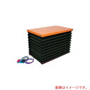 トラスコ中山(TRUSCO) TRUSCO テーブルリフト 250kg 電動Bねじ式 DC24Vバッテリー専用 750×1200 蛇腹付 【品番:HDL-L25...
