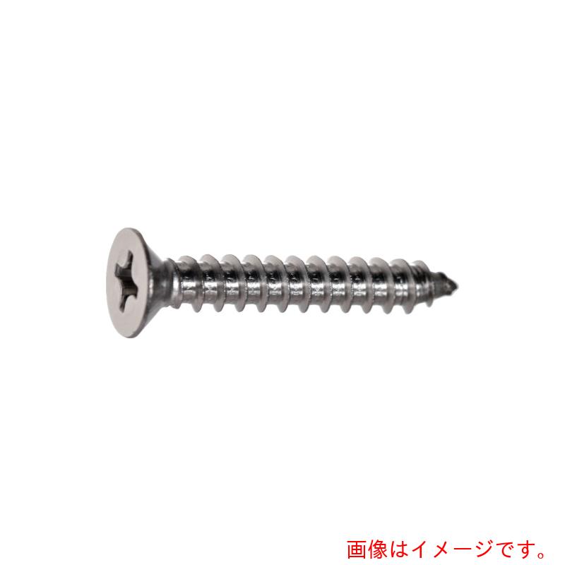 トラスコ中山（TRUSCO）　TRUSCO　皿頭タッピングねじ　1種A　ステンレス　M3×10　1200本入　ヘキサゴ..