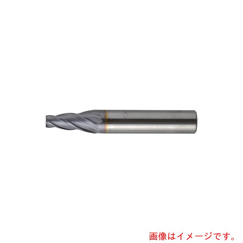 ��˥���ġ��롡Ķ�ť���ɥߥ롡�ơ��ѡ���3���ҳѡ�5�롡�����֡�CCTE403010��