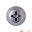 若井産業(WAKAI) ステンレス 板金パッキンビス 4.3X18 【品番:PS018SP】(4)