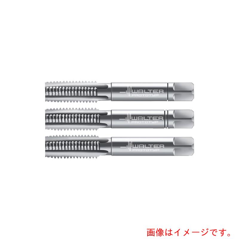 ワルタージャパン（WALTER）　Prototyp　ハンドタップセット　【品番：30060-M6】