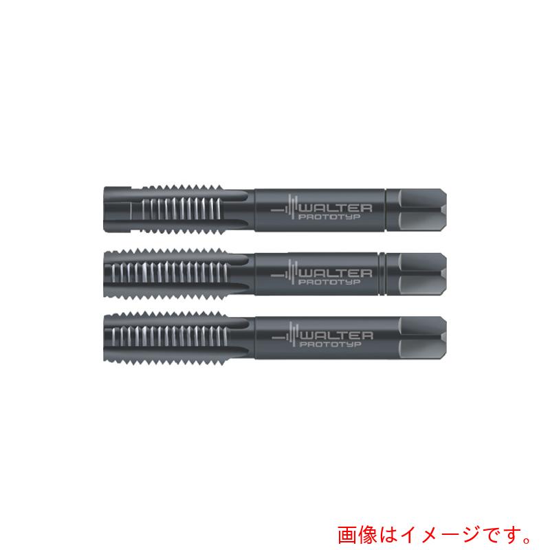 ワルタージャパン（WALTER）　Prototyp　ハンドタップセット　【品番：30063-M6】