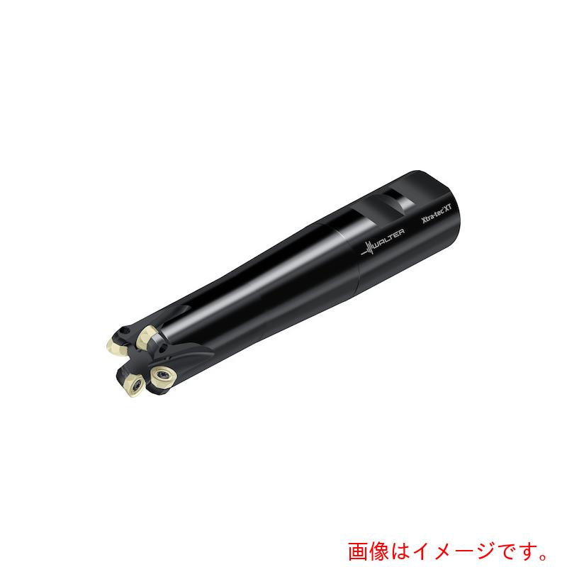 ��륿������ѥ��WALTER�ˡ�Walter���ݶ𥫥å�����M5468��W������ɥ󥿥��ס�5��ϡ������֡�M5468.038-W31-05-05��