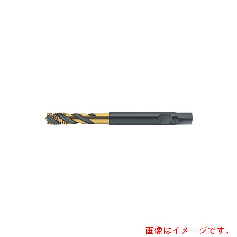 ワルタージャパン（WALTER）　Prototyp　マシンタップ　【品番：S2051302-M8】(4)