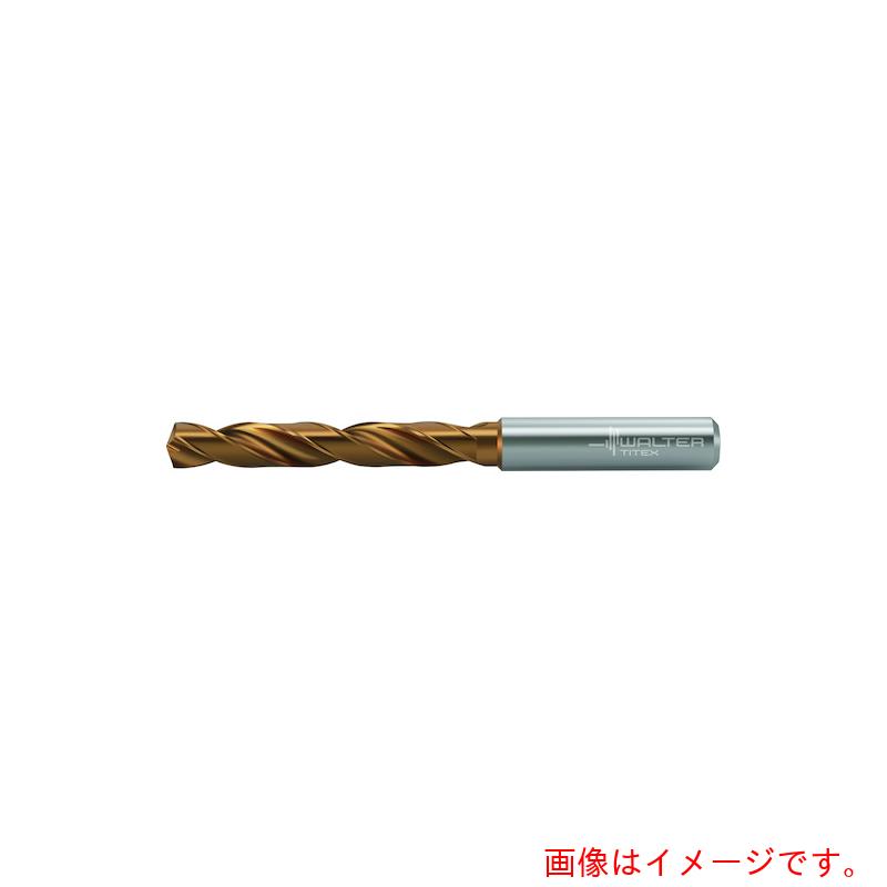 ワルタージャパン（WALTER）　Titex　�