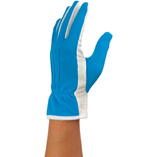 ウインセス　WINCESS　サックス　　ドライブ・礼装用手袋　（12双入り）　Lサイズ　【品番：5003H-C4-L-12P】