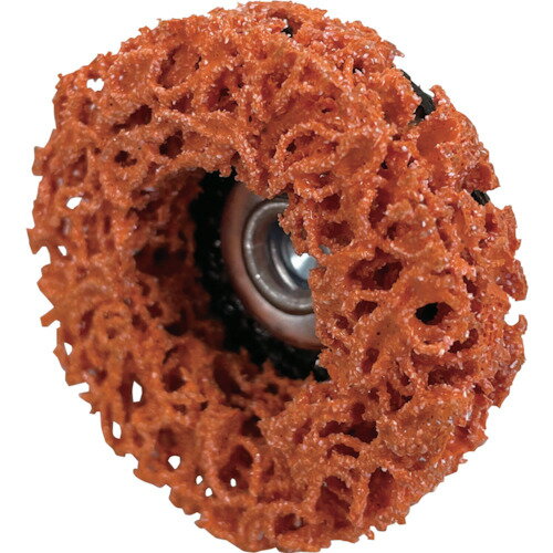 YANASEˡѥѥ٥ǥȥ󥰥Ӽѡ50635֡BDSB01