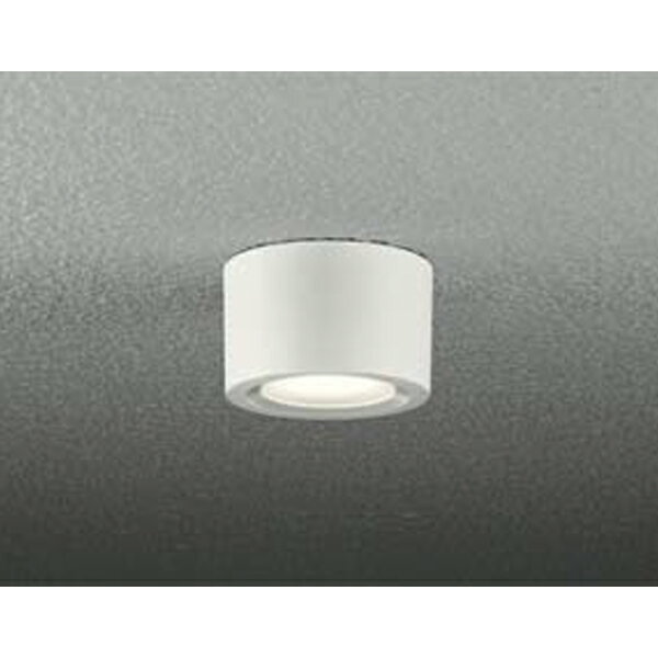 【DOL-4070YW】 DAIKO アウトドア 軒下シーリング 電球色 非調光 大光電機