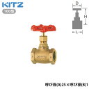 【法人様限定】【A-25A】キッツ グローブバルブ 100型 呼び径(A)25×呼び径(B)1 KITZ/代引き不可品