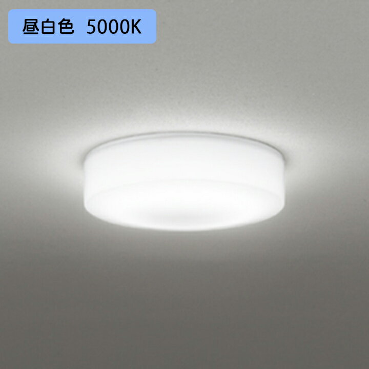 【OG254873R】オーデリック バスルーム 脱衣場薄型・全配光 100W 昼白色 白熱灯器具 LED一体型 ・調光器不可 ODELIC 1